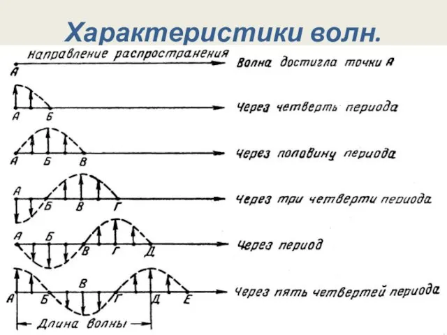 Характеристики волн. Время за которое волна распространяется на длину волны, называется периодом.