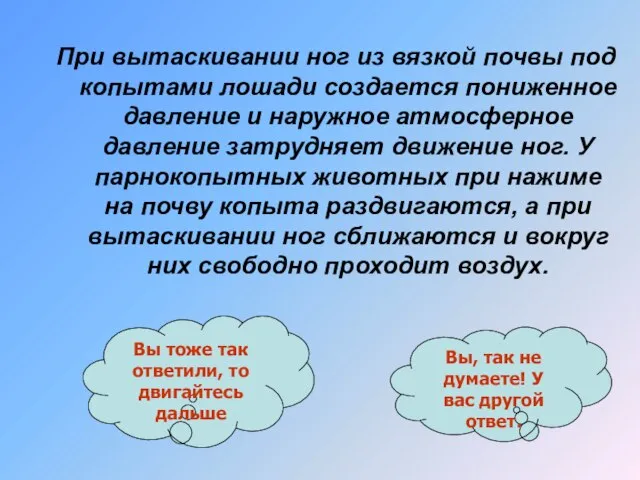 При вытаскивании ног из вязкой почвы под копытами лошади создается пониженное давление