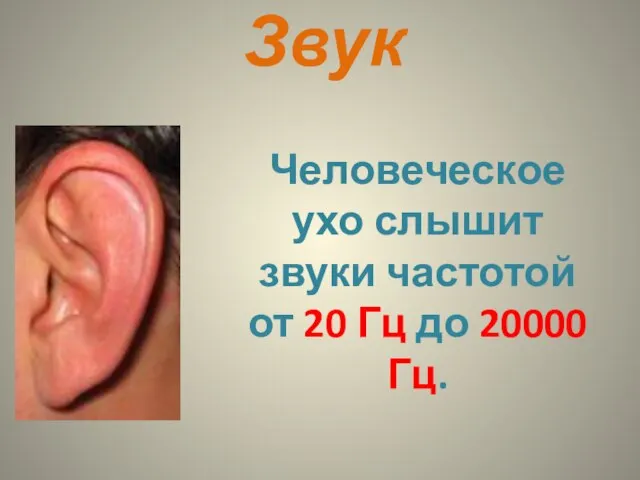 Звук Человеческое ухо слышит звуки частотой от 20 Гц до 20000 Гц.
