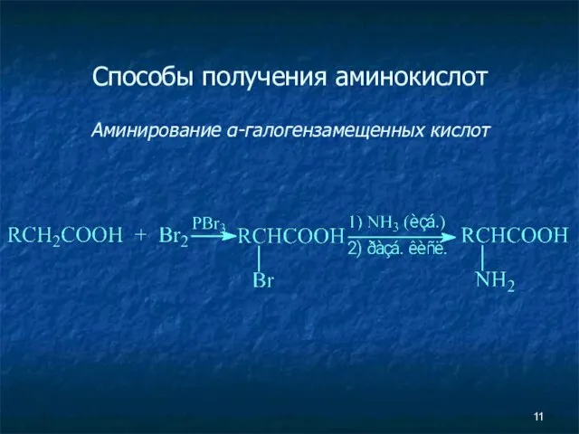 Способы получения аминокислот Аминирование α-галогензамещенных кислот