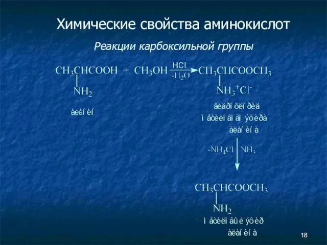 Химические свойства аминокислот Реакции карбоксильной группы