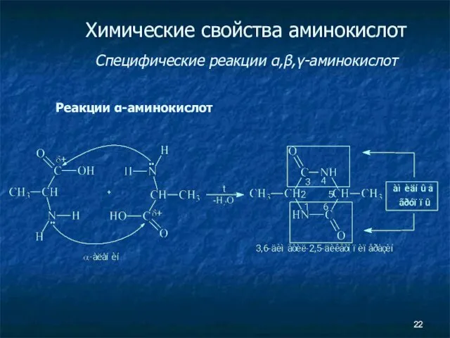 Химические свойства аминокислот Специфические реакции α,β,γ-аминокислот Реакции α-аминокислот