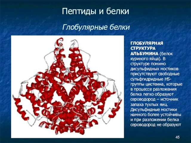 Пептиды и белки Глобулярные белки ГЛОБУЛЯРНАЯ СТРУКТУРА АЛЬБУМИНА (белок куриного яйца). В