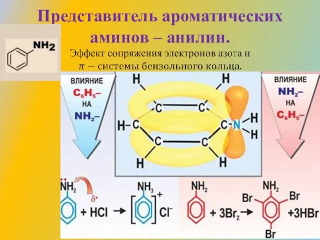 Представитель ароматических аминов – анилин.