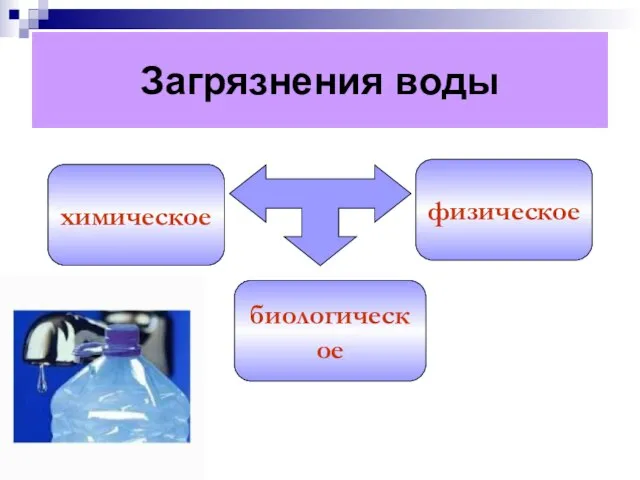 Загрязнения воды химическое биологическое физическое