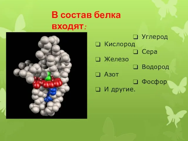 В состав белка входят: Углерод Кислород Сера Железо Водород Азот Фосфор И другие.