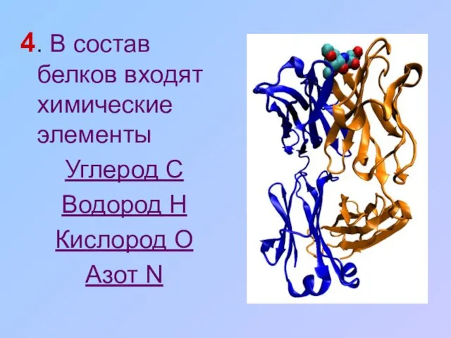 4. В состав белков входят химические элементы Углерод С Водород Н Кислород О Азот N