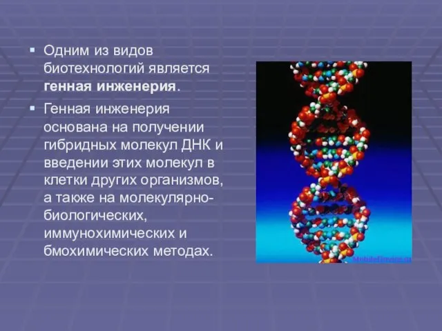 Одним из видов биотехнологий является генная инженерия. Генная инженерия основана на получении