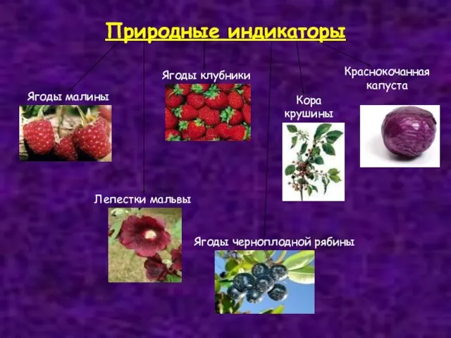 Природные индикаторы Ягоды малины Лепестки мальвы Ягоды клубники Ягоды черноплодной рябины Кора крушины Краснокочанная капуста