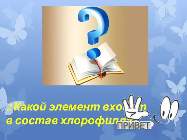 2.Какой элемент входит в состав хлорофилла?