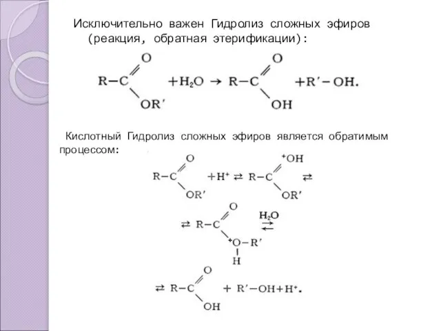 Исключительно важен Гидролиз сложных эфиров (реакция, обратная этерификации): Кислотный Гидролиз сложных эфиров является обратимым процессом: