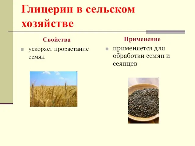 Глицерин в сельском хозяйстве Свойства ускоряет прорастание семян Применение применяется для обработки семян и сеянцев