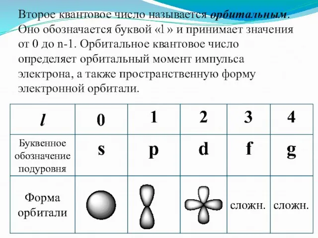 Второе квантовое число называется орбитальным. Оно обозначается буквой «l » и принимает