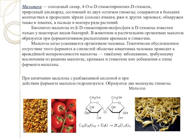 Мальтоза — солодовый сахар, 4-О-α-D-глюкопиранозил-D-глюкоза, природный дисахарид, состоящий из двух остатков глюкозы;