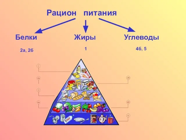 Рацион питания Белки Жиры Углеводы 2а, 2б 1 4б, 5