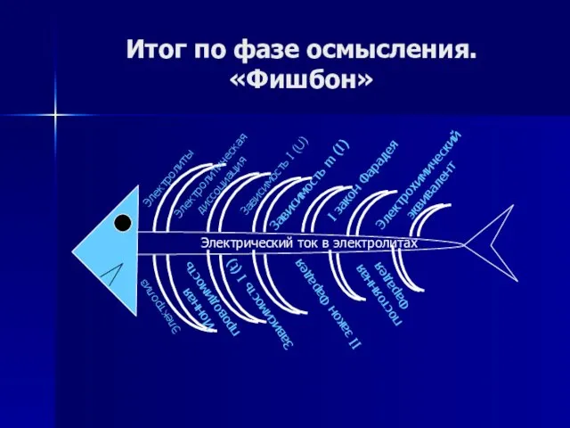 Итог по фазе осмысления. «Фишбон»