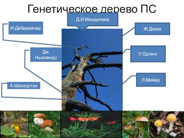 Генетическое дерево ПС У.Одлинг Л.Мейер Дж.Ньюлендс И.Деберейнер Ж.Дюма А.Шанкуртуа Д.И.Менделеев