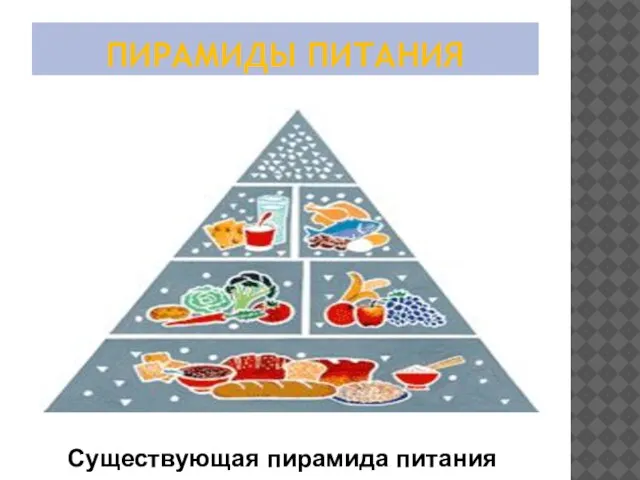 ПИРАМИДЫ ПИТАНИЯ Существующая пирамида питания