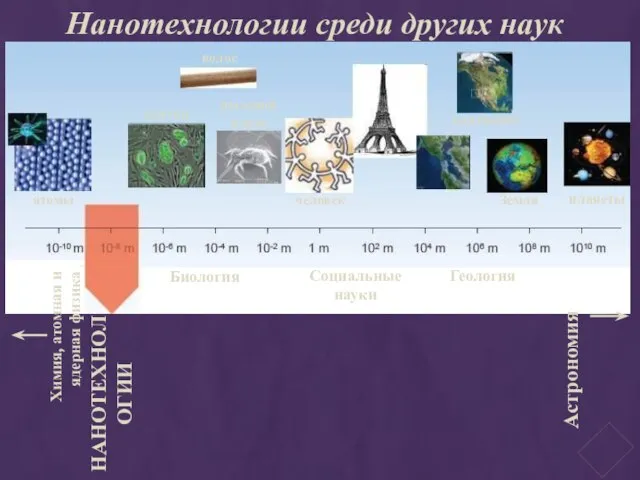 Нанотехнологии среди других наук