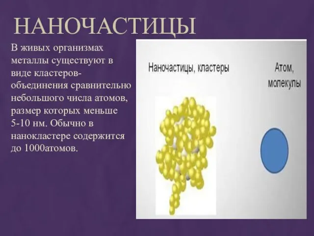 Наночастицы В живых организмах металлы существуют в виде кластеров- объединения сравнительно небольшого