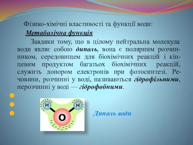 Фізико-хімічні властивості та функції води: Метаболічна функція Завдяки тому, що в цілому