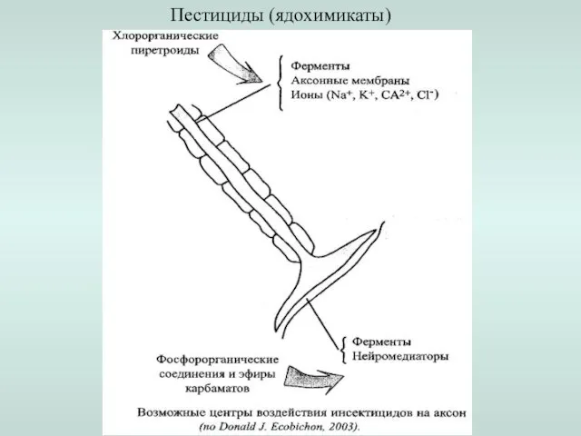 Пестициды (ядохимикаты)