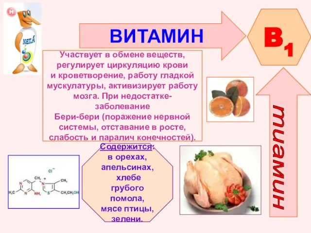 ВИТАМИН B1 Участвует в обмене веществ, регулирует циркуляцию крови и кроветворение, работу