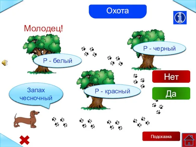 Р - белый Р - красный Р - черный Запах чесночный Подсказка Молодец! Нет Да Охота