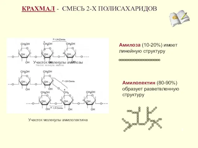 КРАХМАЛ - СМЕСЬ 2-Х ПОЛИСАХАРИДОВ Амилоза (10-20%) имеет линейную структуру Амилопектин (80-90%)