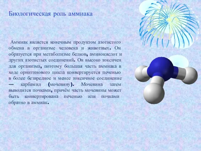 Аммиак является конечным продуктом азотистого обмена в организме человека и животных. Он