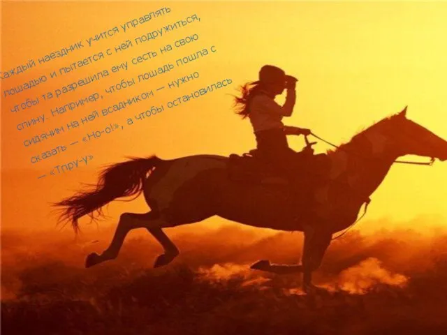 Каждый наездник учится управлять лошадью и пытается с ней подружиться, чтобы та