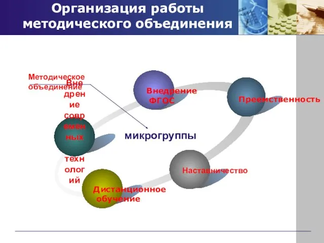 Организация работы методического объединения