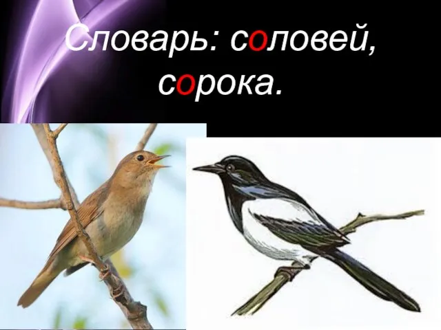 Словарь: соловей, сорока.