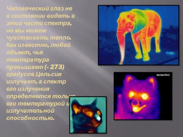 Человеческий глаз не в состоянии видеть в этой части спектра, но мы