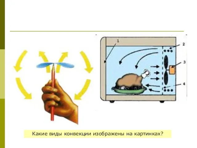 Какие виды конвекции изображены на картинках?