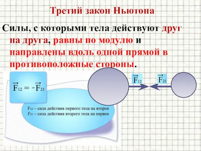 Силы, с которыми тела действуют друг на друга, равны по модулю и