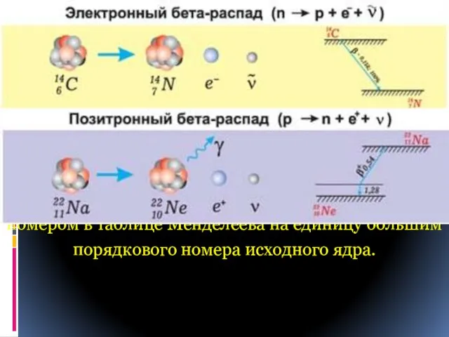  – распадом называется самопроизвольное превращение атомного ядра путем испускания электрона. Ядро