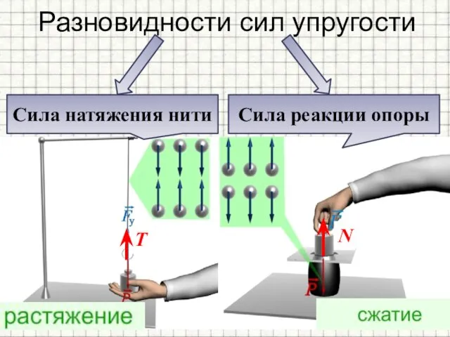 Разновидности сил упругости Сила натяжения нити Сила реакции опоры T N