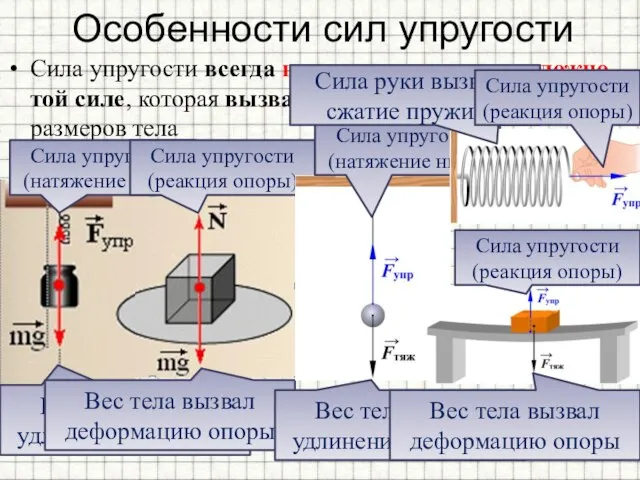 Особенности сил упругости Сила упругости всегда направлена противоположно той силе, которая вызвала