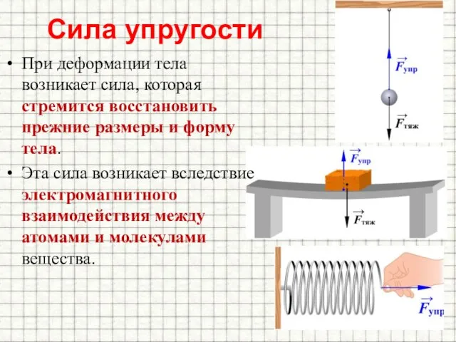 Сила упругости При деформации тела возникает сила, которая стремится восстановить прежние размеры