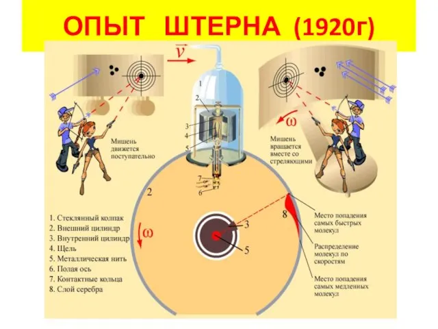 ОПЫТ ШТЕРНА (1920г)