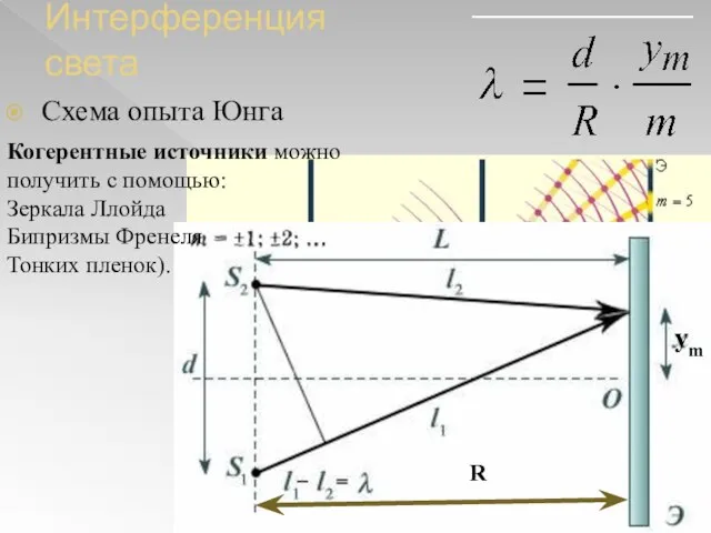 Интерференция света Схема опыта Юнга R ym Когерентные источники можно получить с