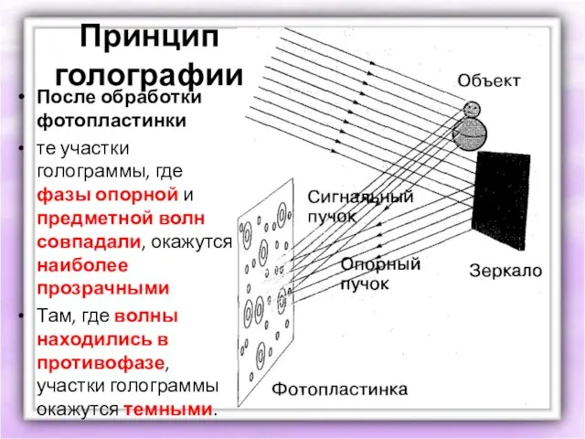 Принцип голографии После обработки фотопластинки те участки голограммы, где фазы опорной и