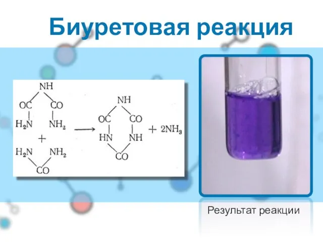 Биуретовая реакция Результат реакции