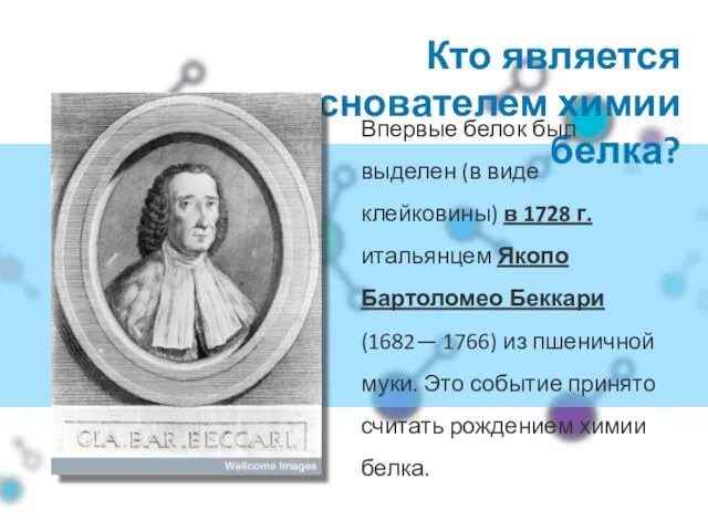 Кто является основателем химии белка? Впервые белок был выделен (в виде клейковины)