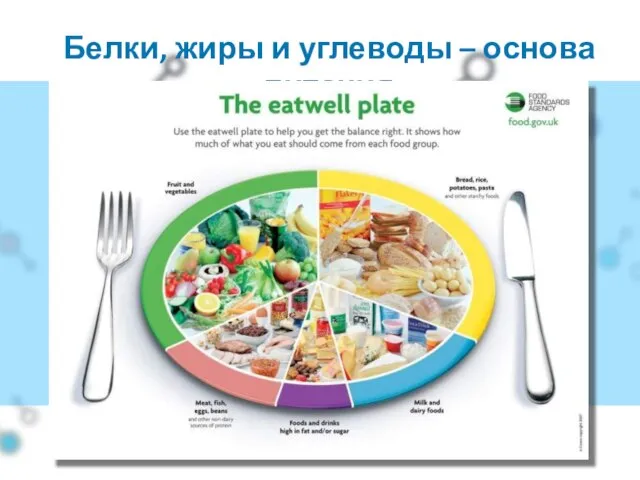 Белки, жиры и углеводы – основа питания