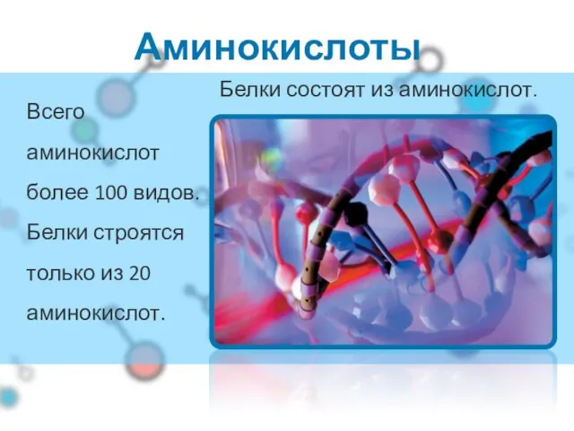 Аминокислоты Всего аминокислот более 100 видов. Белки строятся только из 20 аминокислот. Белки состоят из аминокислот.