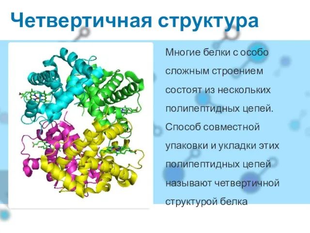 Четвертичная структура Многие белки с особо сложным строением состоят из нескольких полипептидных