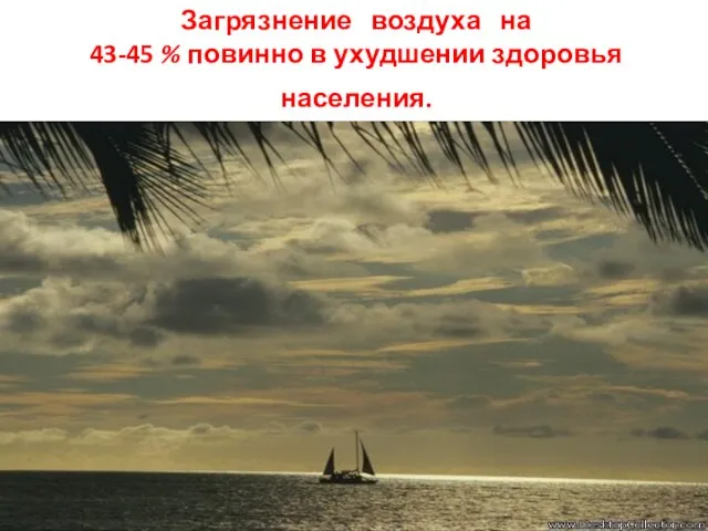 Загрязнение воздуха на 43-45 % повинно в ухудшении здоровья населения.