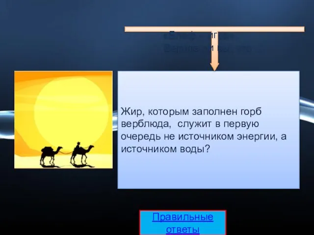 Жир, которым заполнен горб верблюда, служит в первую очередь не источником энергии,